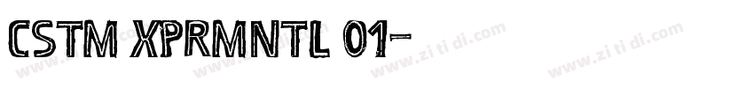 CSTM XPRMNTL 01字体转换